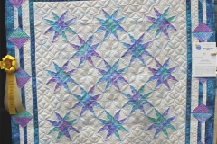 Individual Pieced - 3rd Place-2020