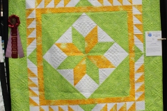 Individual Pieced-2nd Place-2020